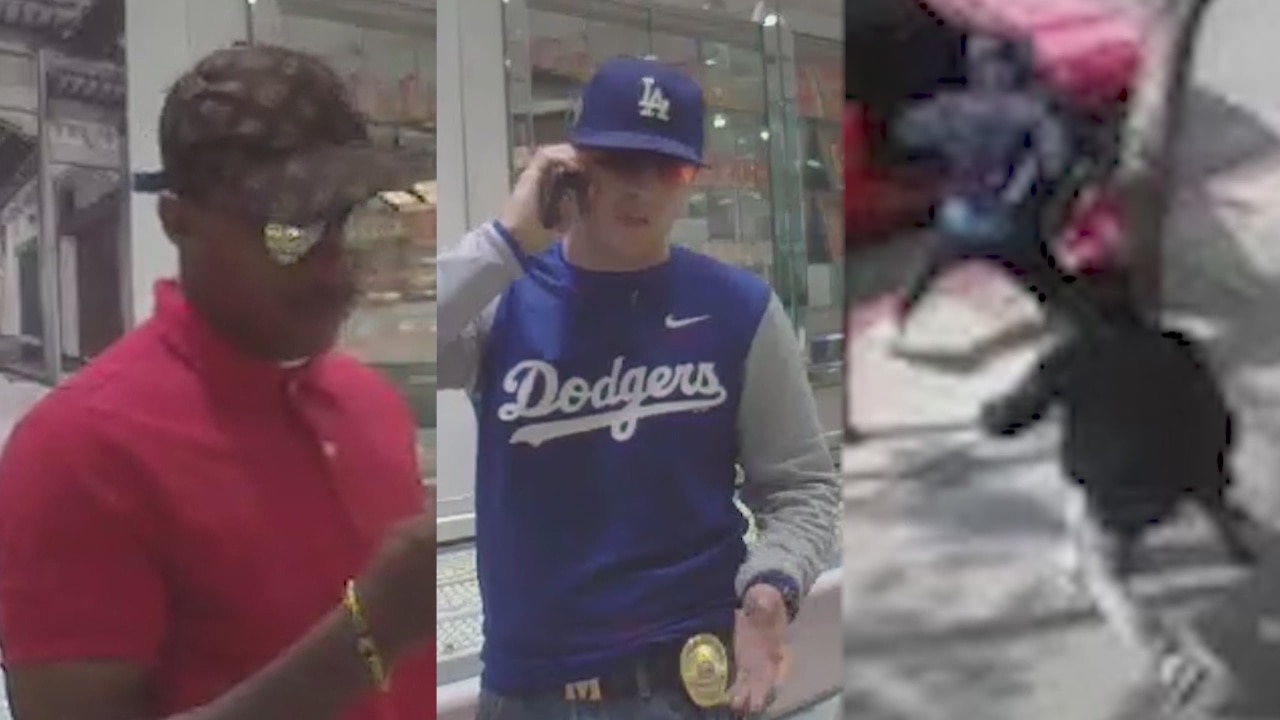 Jewelry store robbers sought by police