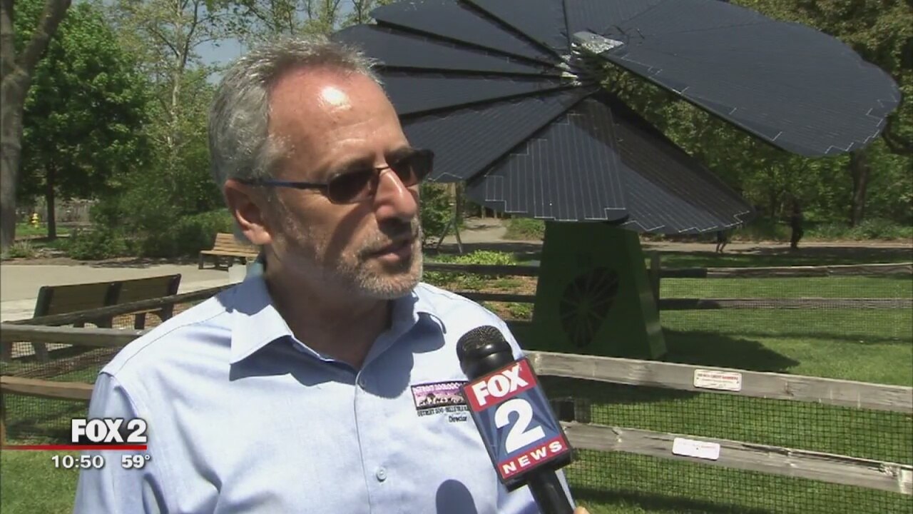 Solar Flower Power at the Detroit Zoo