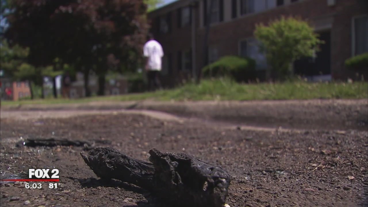 Detroit woman watches her car firebombed on surveillance video