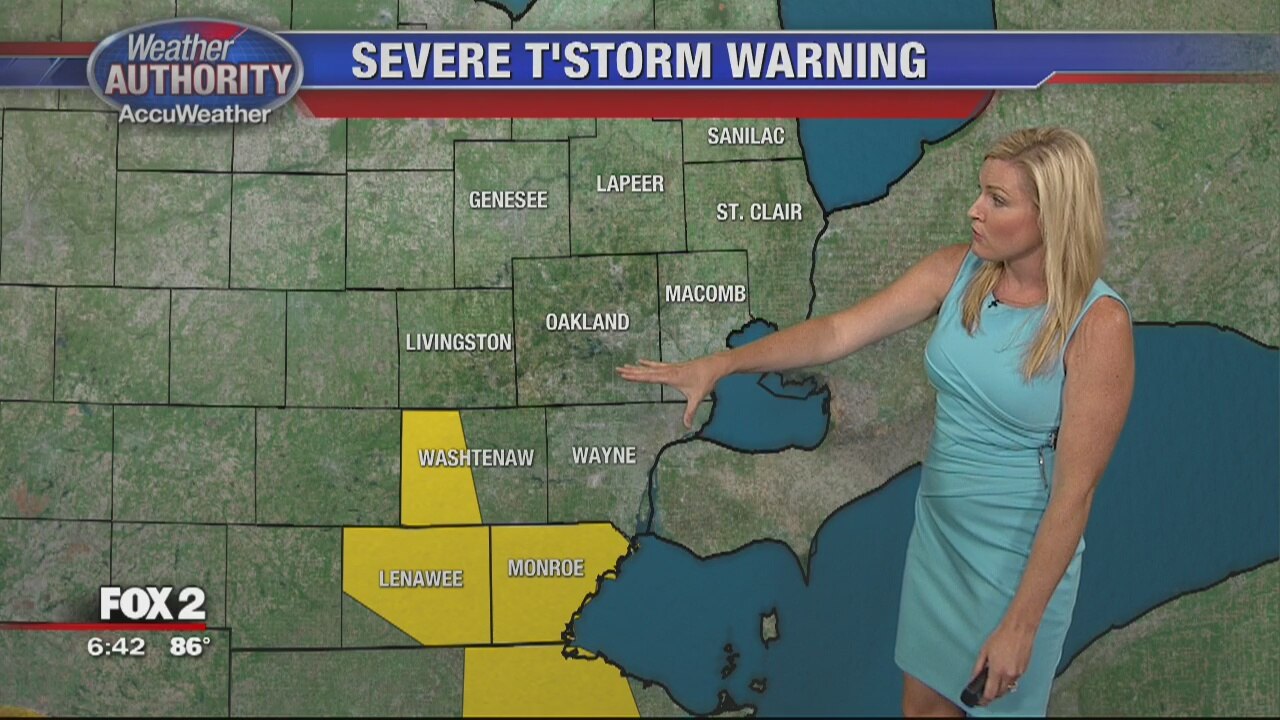 Strong weather causing watches, warnings in SE Michigan