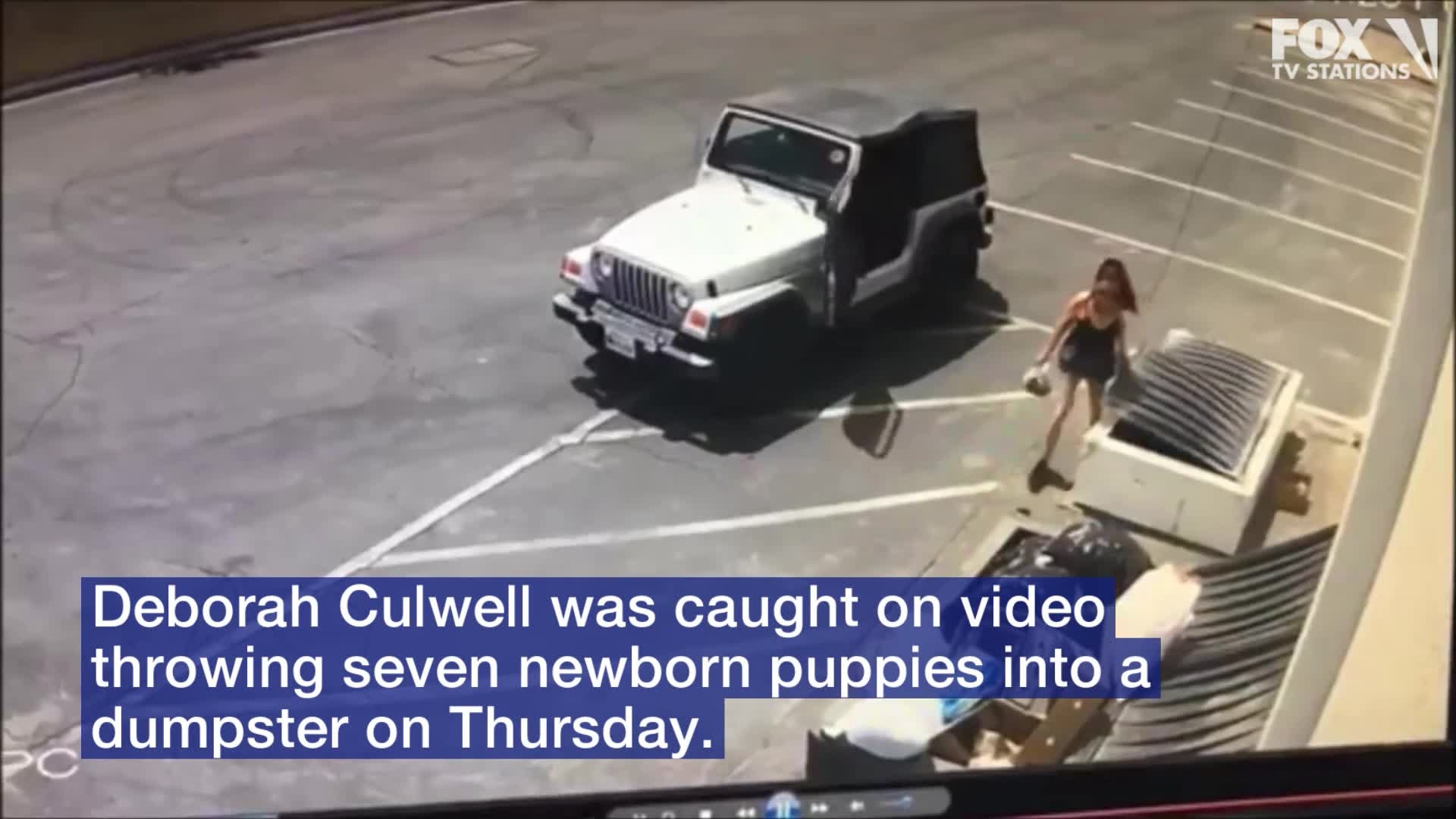 Woman arrested dumping puppies in trash bin | FOX 11 Los Angeles