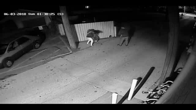 Woman wanted for Ferndale alley assault on camera