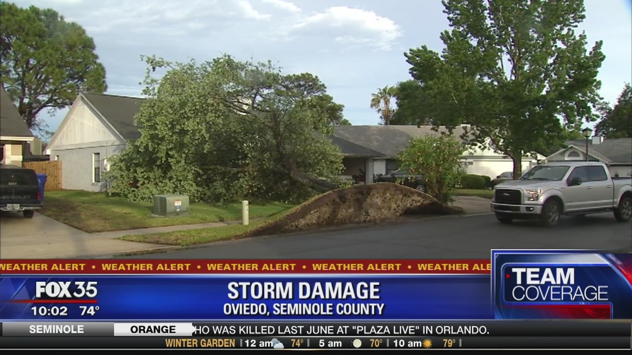 Storm damage reported in Orlando metro area