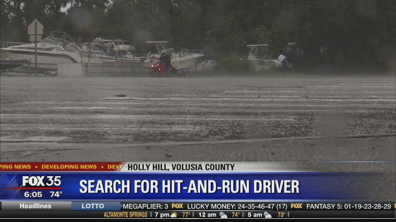 Search for hit and run driver