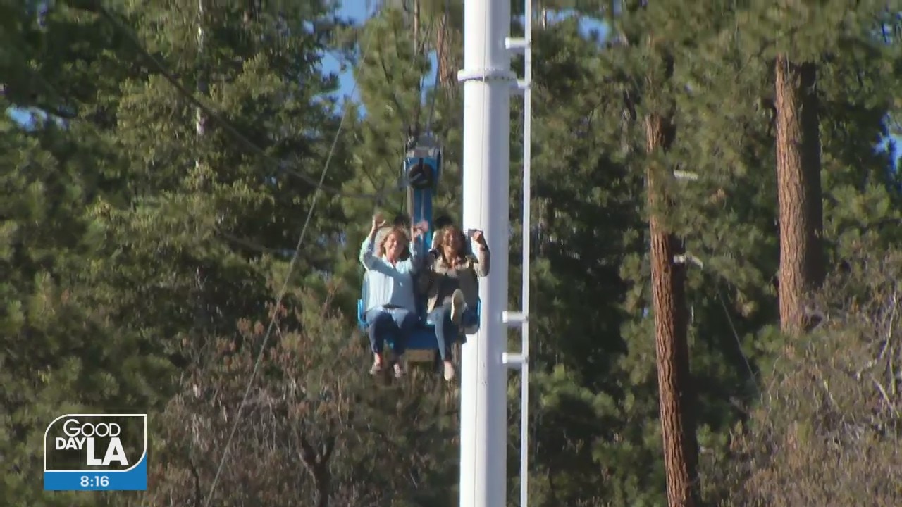 Rediscover Alpine Slide Big Bear