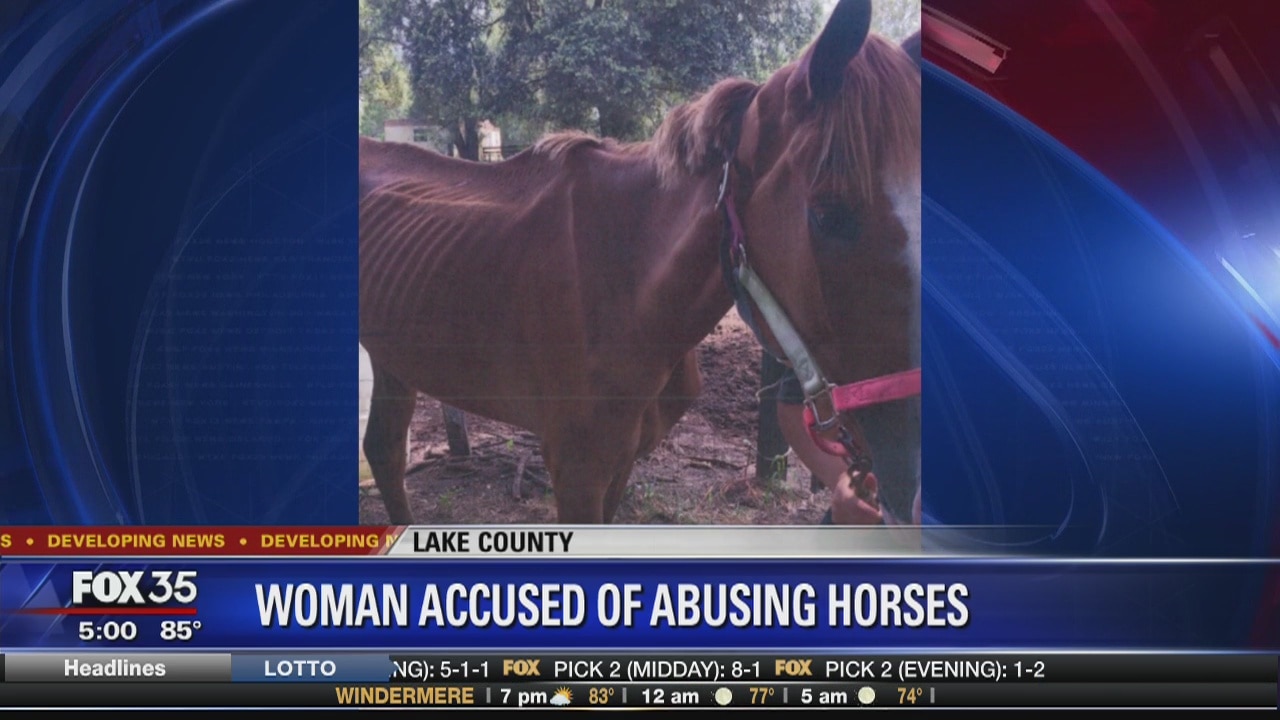 Woman accused of horse abuse