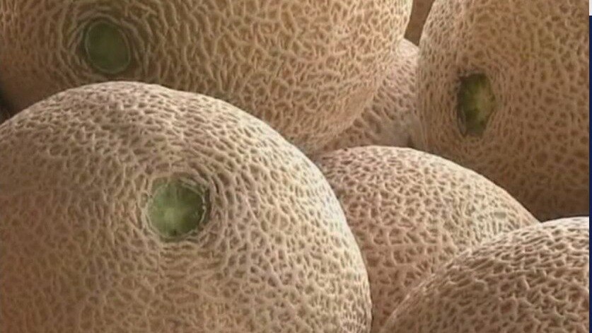 FDA expands cantaloupe recall