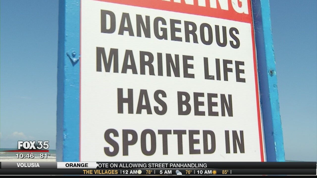 Keeping sharks away