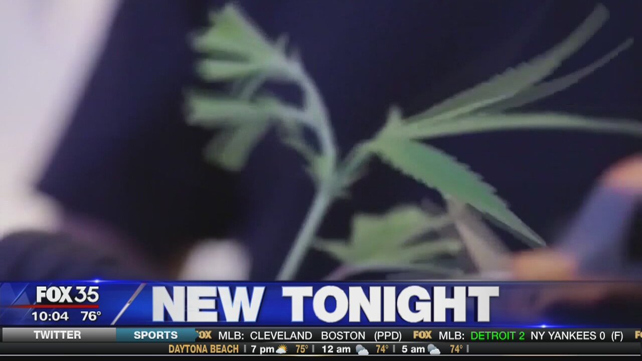 Senator proposes lifting federal ban on pot