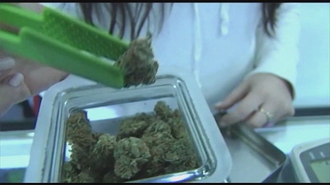Early returns on marijuana business votes favor no in three Detroit area communities