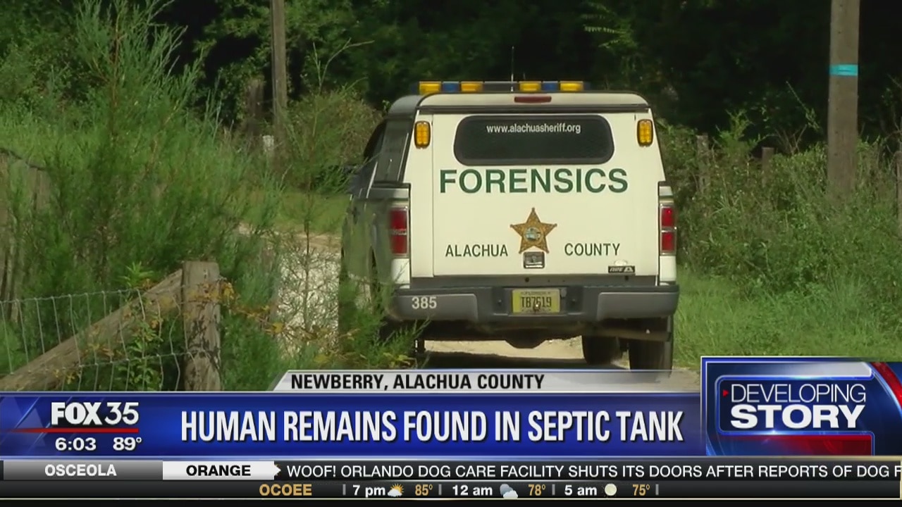 Human remains found in Newberry septic tank