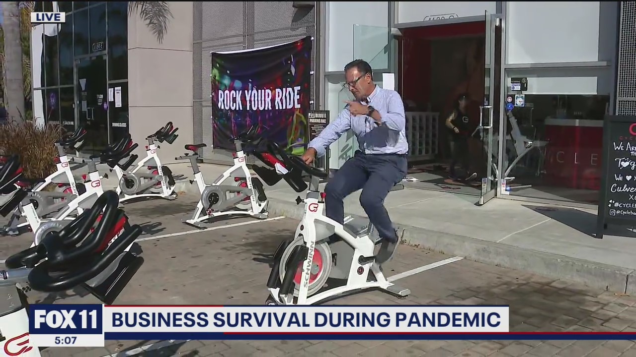 Business survival during pandemic