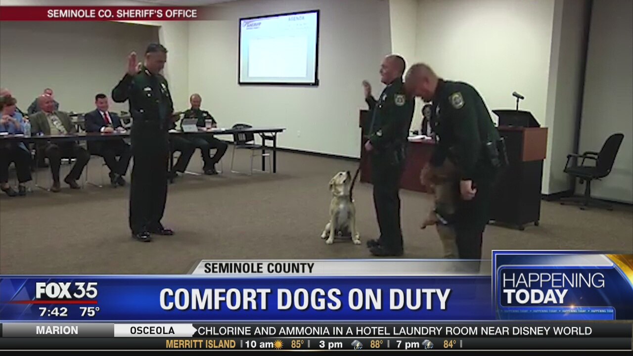 Comfort dogs on duty at Seminole County Schools