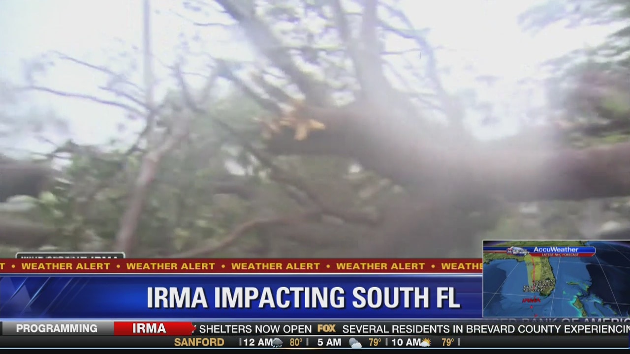 Tree fell on car in Pompano Beach