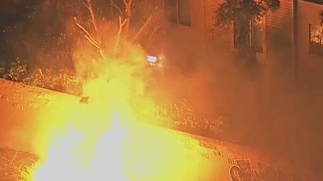 Multiple brush fires in Echo Park