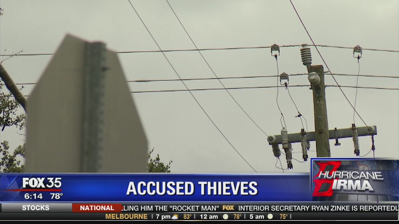 Couple accused of stealing power lines