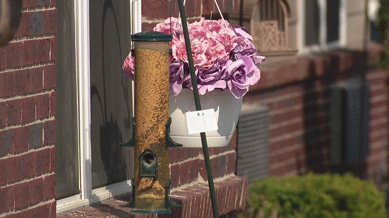 Oakland County man starts drive to install bird feeders outside elderly home