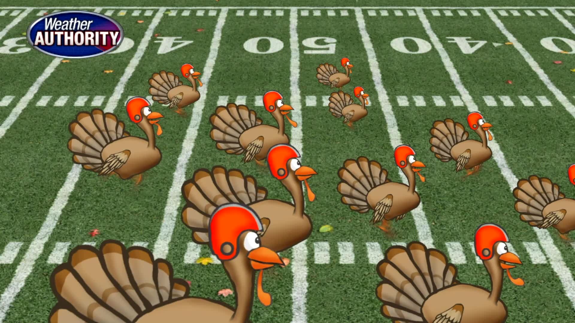 Detroit's Thanksgiving Day Forecast