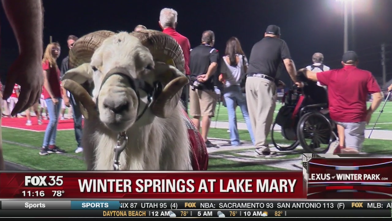 Friday Night Blitz Week Seven