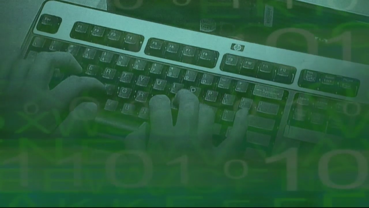 Michigan is one of the top targets for online criminals during pandemic