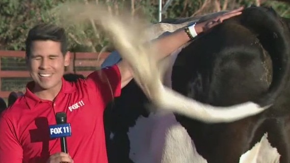 FOX 11's Mario Ramirez laughs off unexpected moment at animal sanctuary