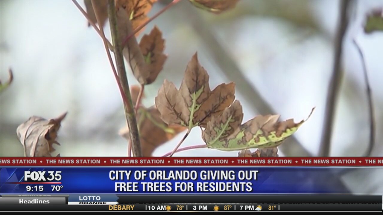 City of Orlando giving out free trees for residents