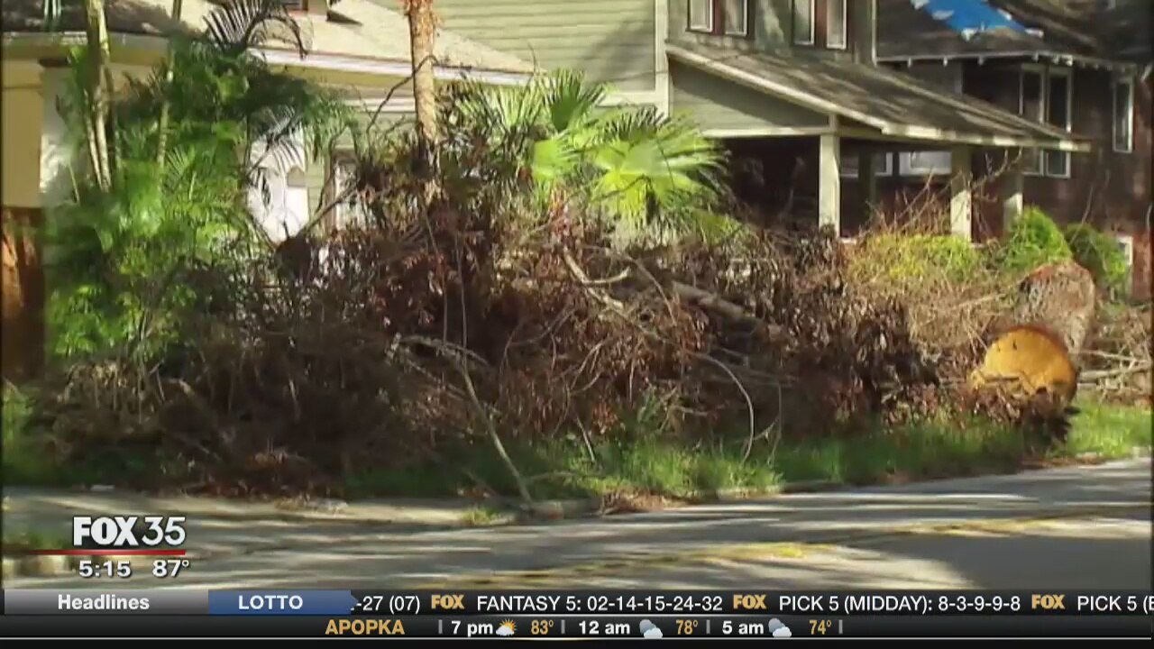 Hurricane Irma is long gone, but debris remains