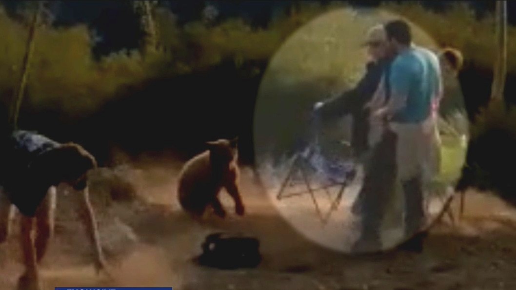 Small bear attacks man on Mount Wilson
