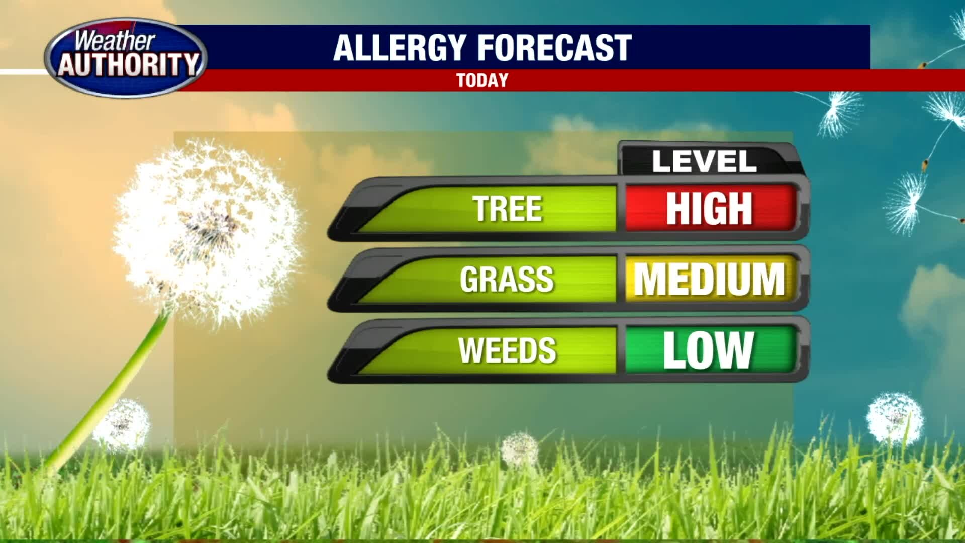 Partly Cloudy with Isolated Showers Saturday