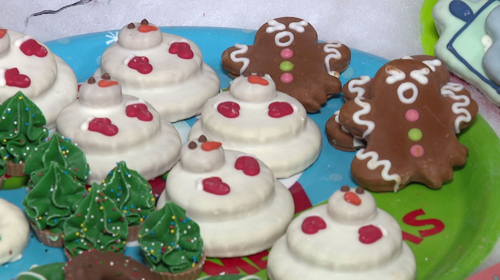 Holiday gifts for your furry friends with Premiere Pet Supply