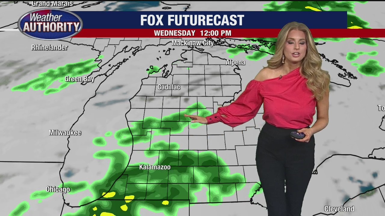 Mild and damp Wednesday