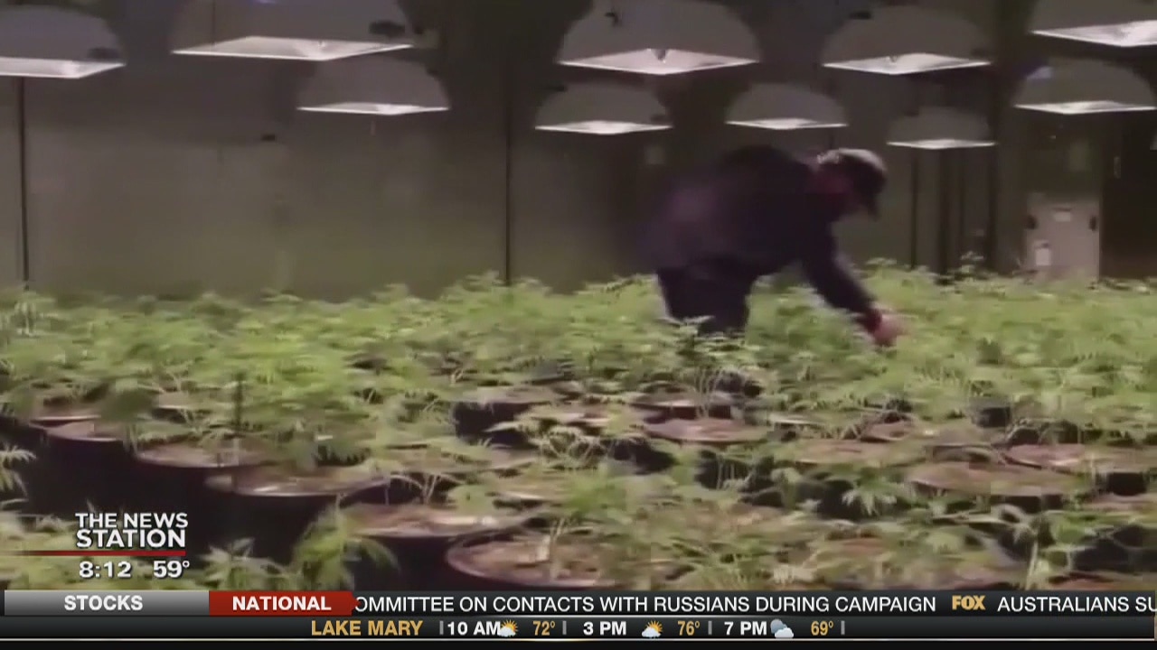 State Representative Carlos Guillermo speaks to Fox 35 WOFL about medical marijuana