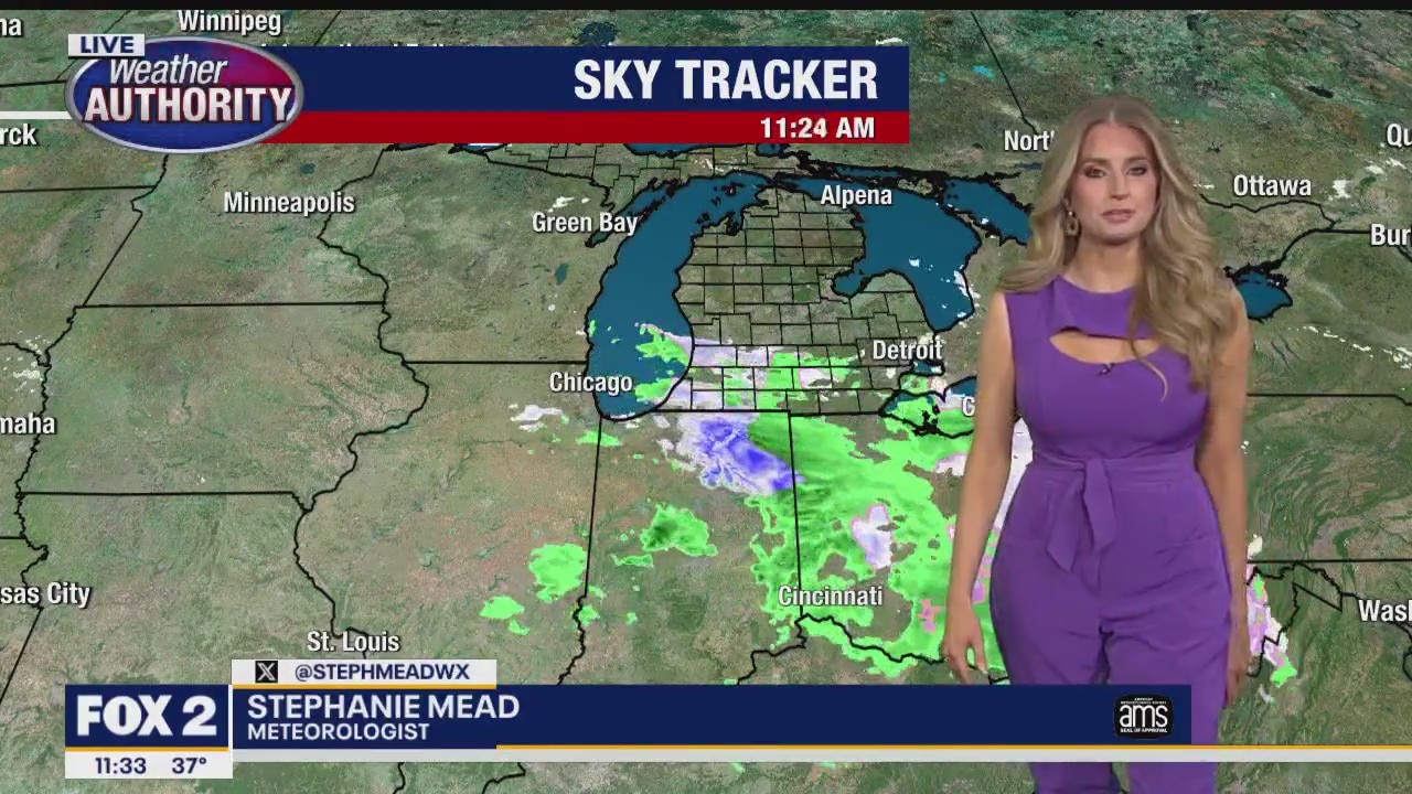 Damp day; Milder end to the week!