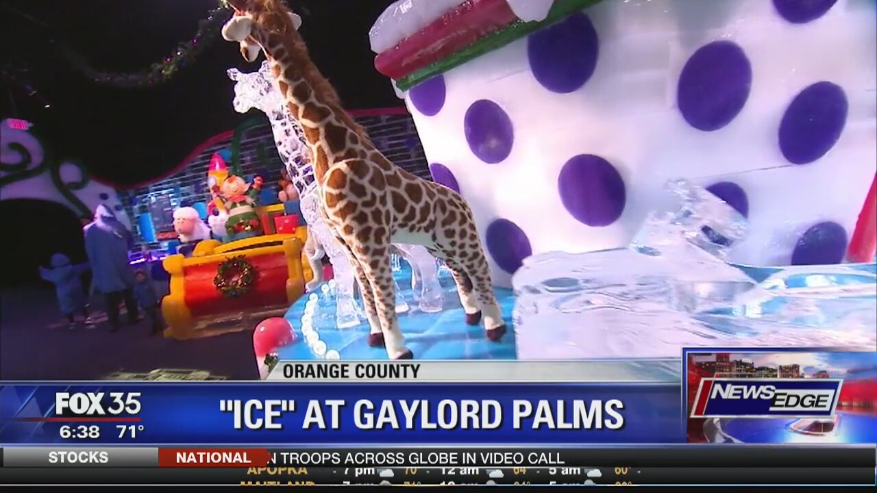 ICE at the Gaylord Palms