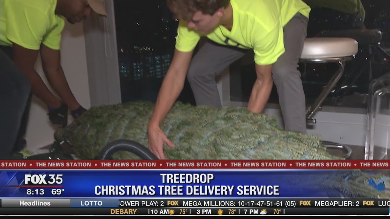 Treedrop: Christmas Tree Delivery Service
