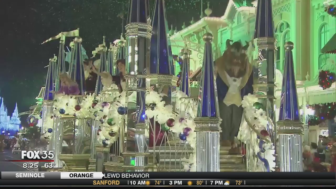 David Does It: Holidays at Disney