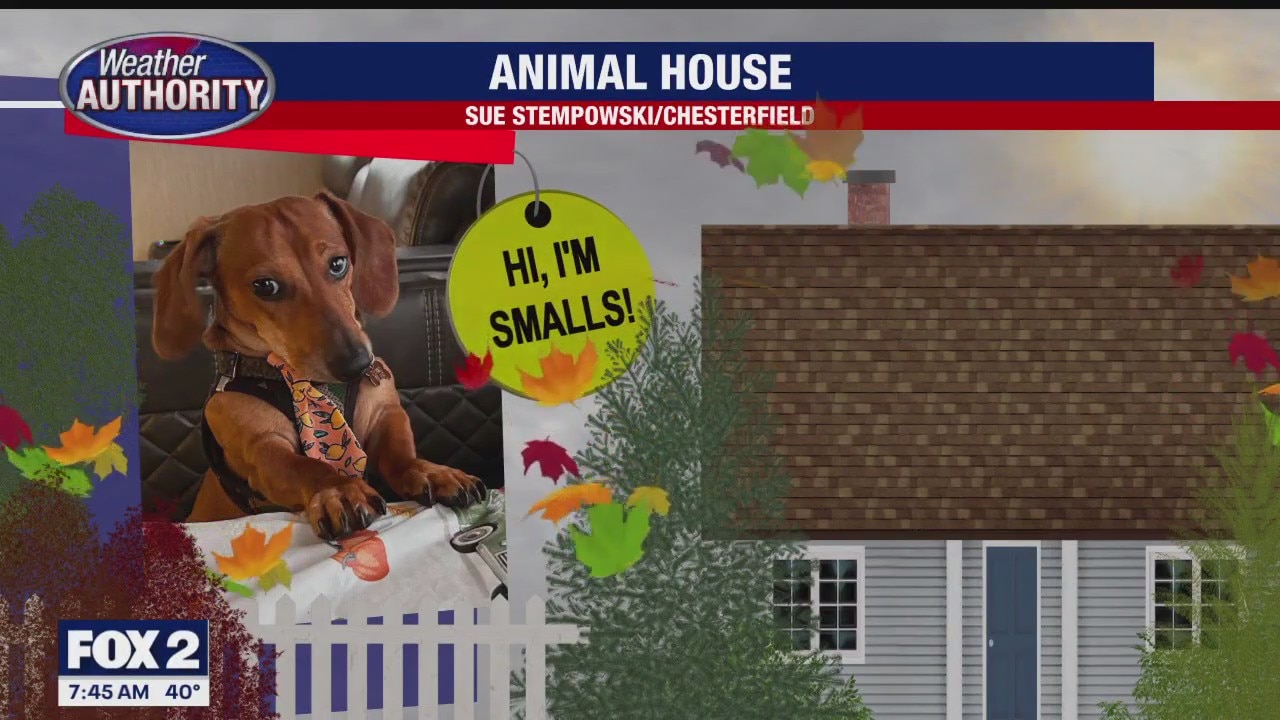 Meet Sir Biggie Smalls