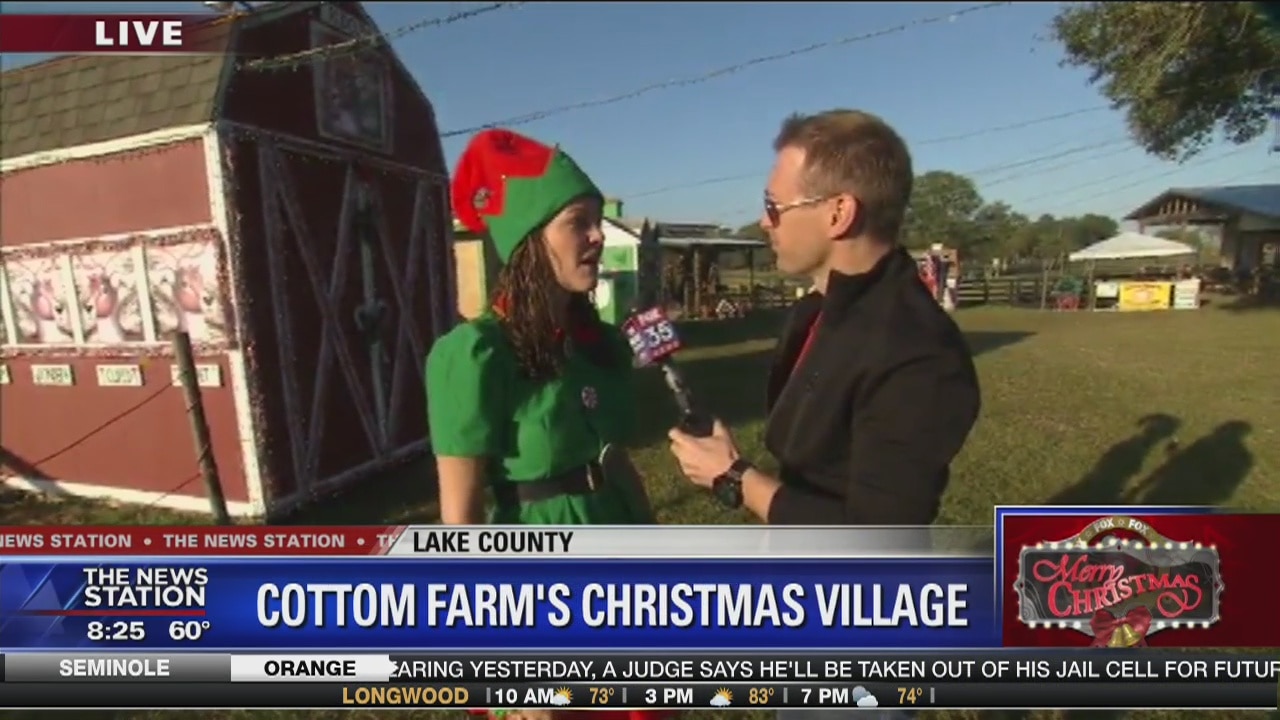 David Does It: Cotton Farm's Christmas Village