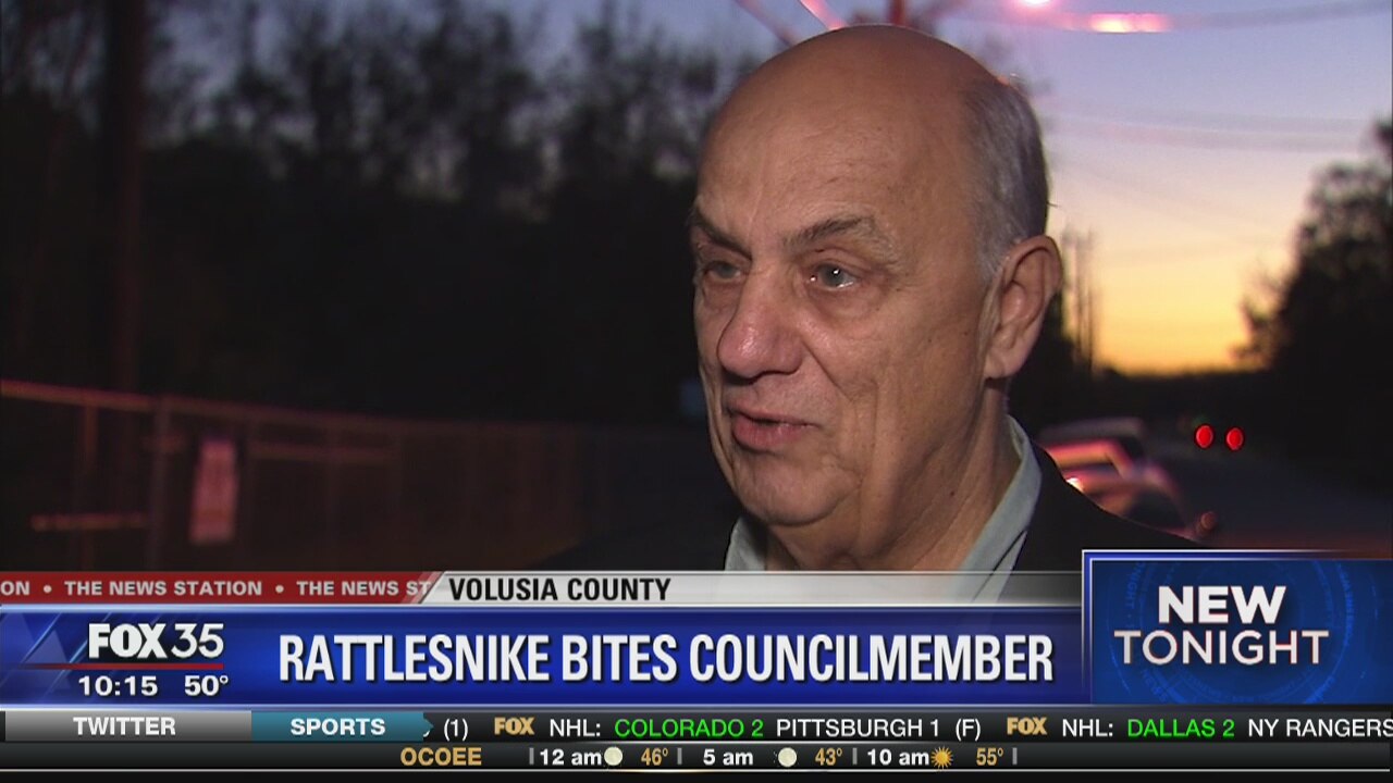 Volusia County councilman bitten by snake