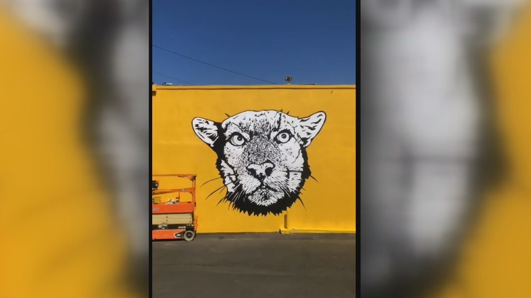 Mural honors cougar P-22