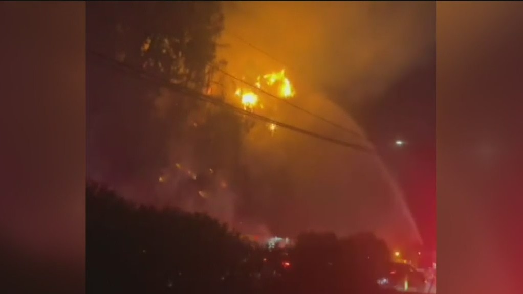 Pacific Palisades brush fire closes PCH