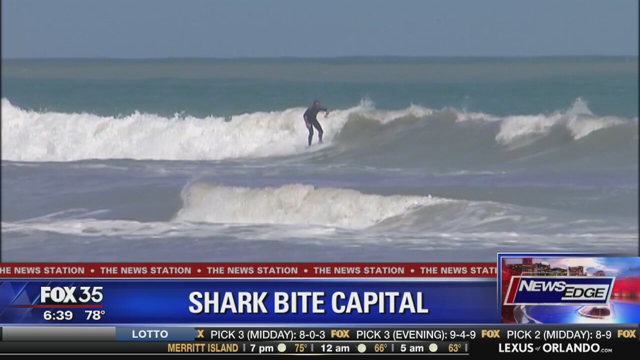 Volusia County 'shark bite capital'