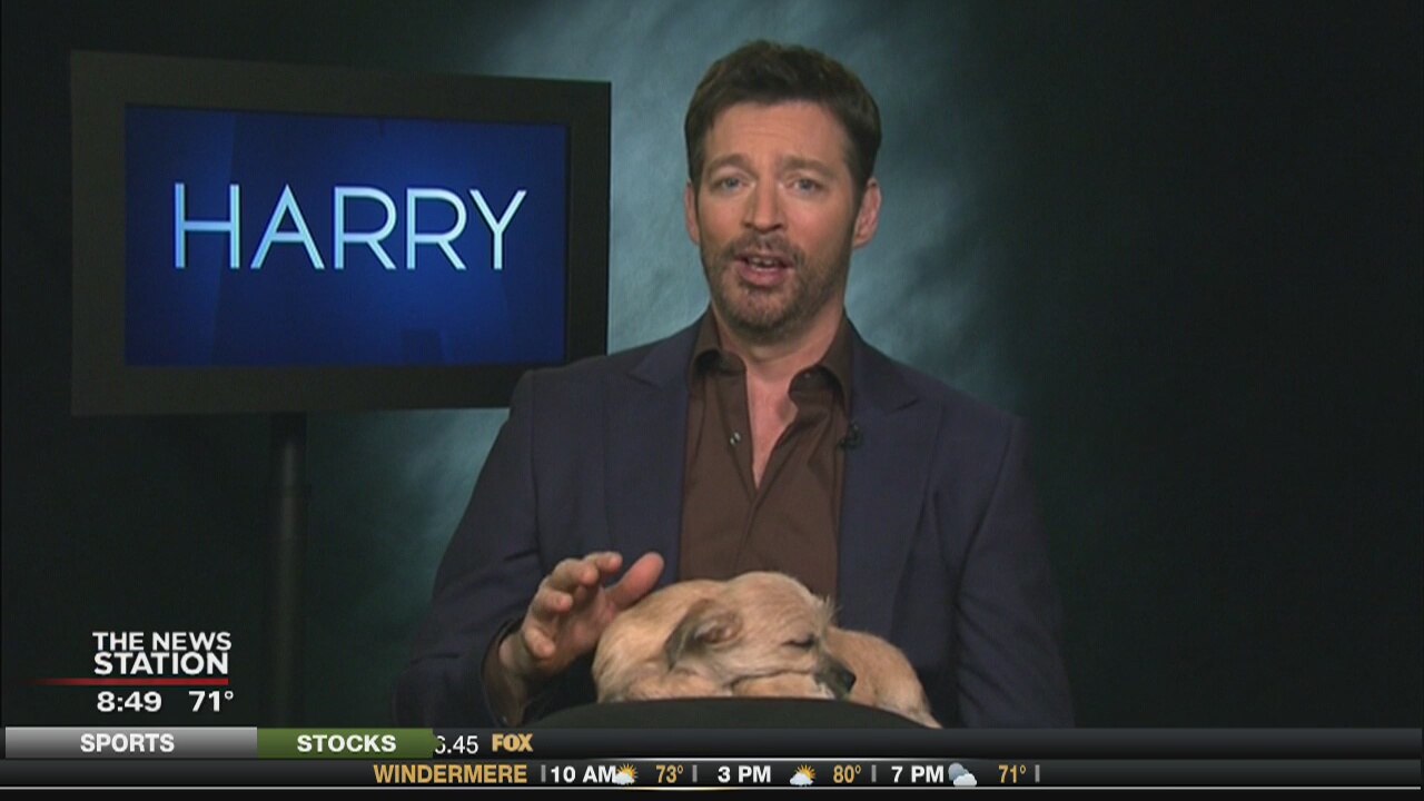 Harry's Valentine Special
