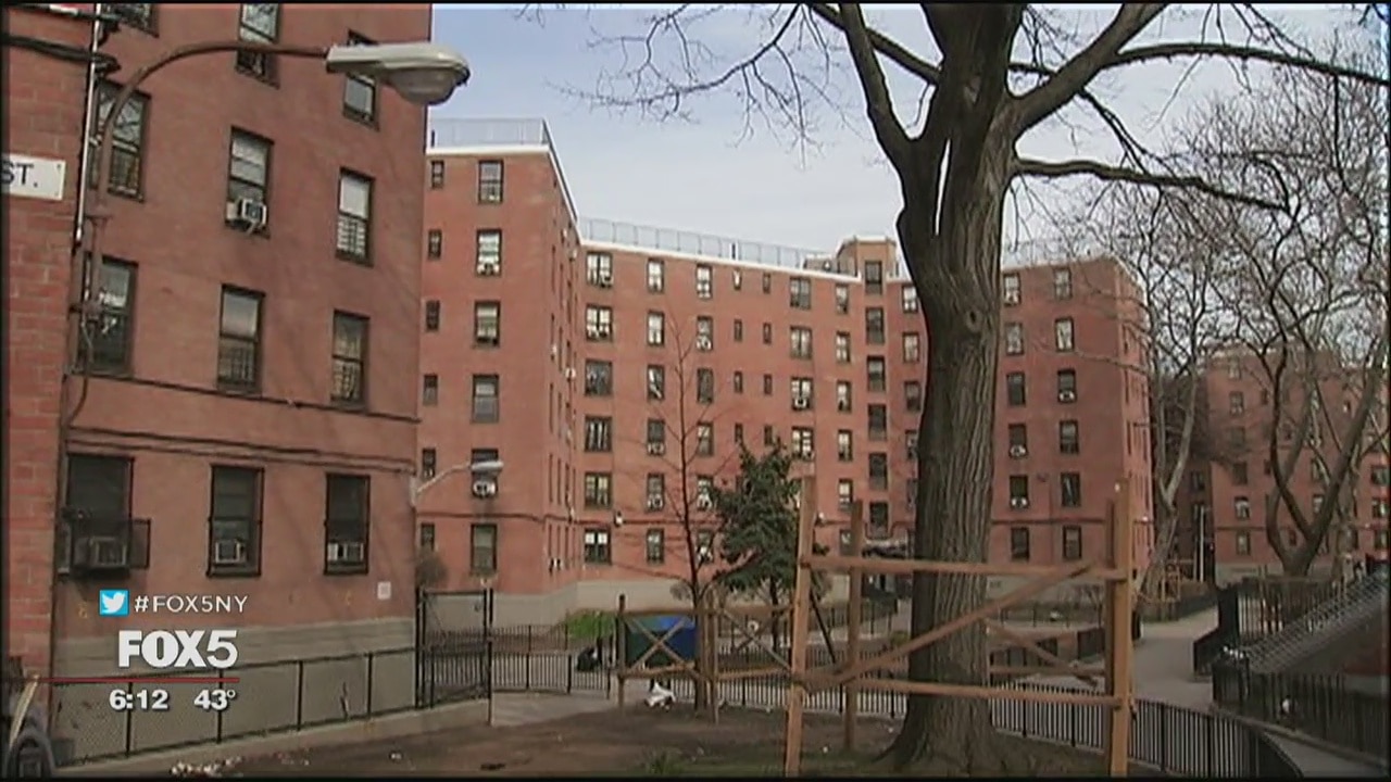 Peace in Queensbridge