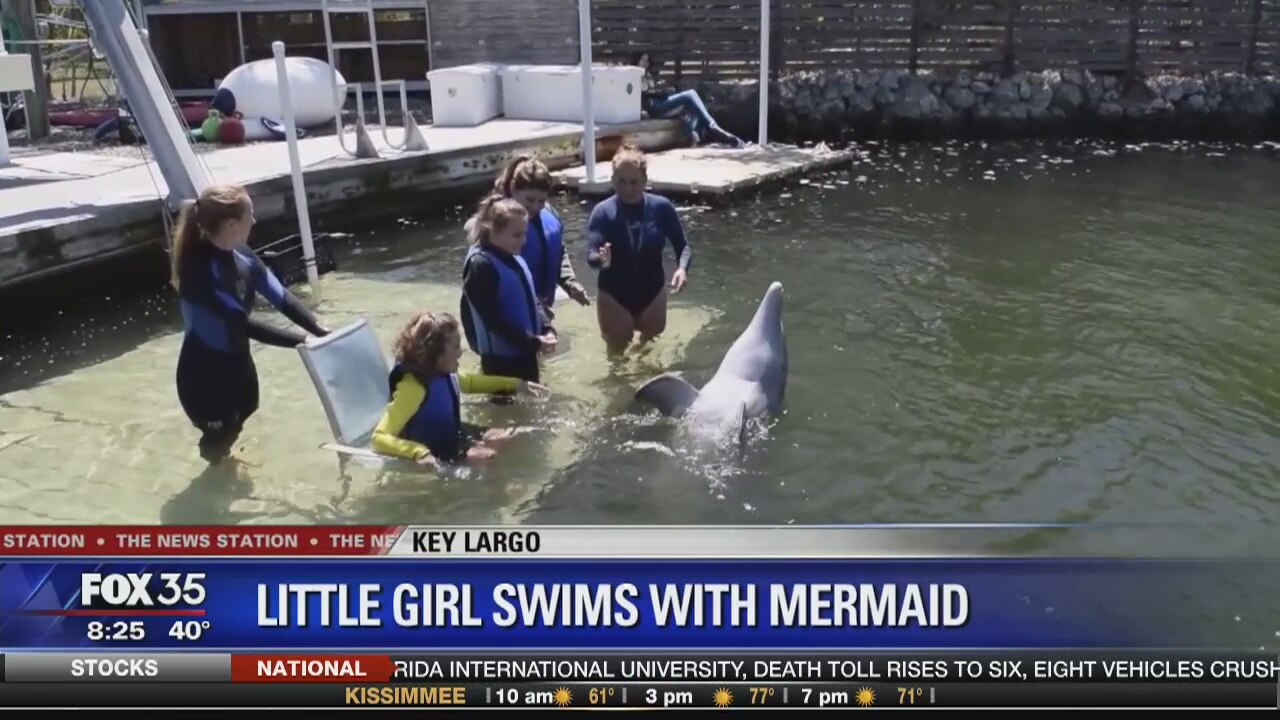 Little girl's wish to swim with mermaid granted