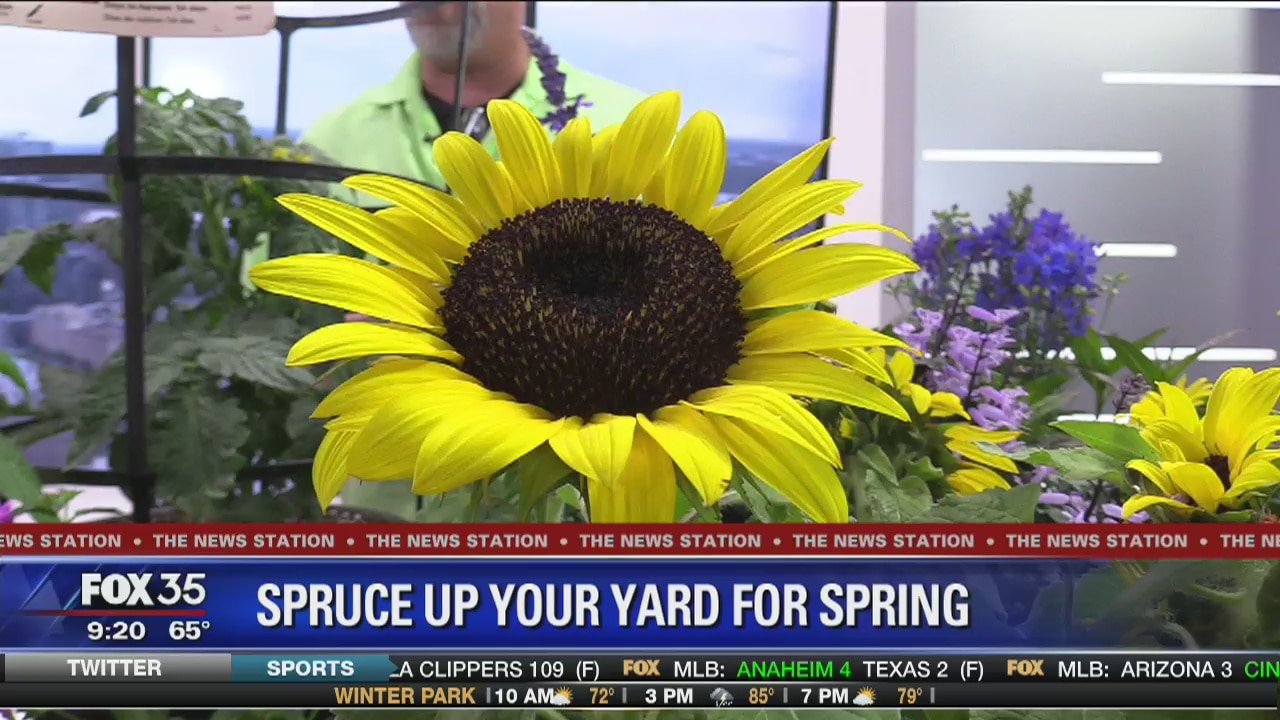 Spruce up your yard for spring