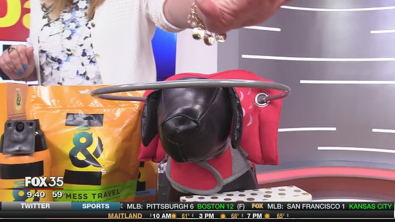 Global Pet Expo: A look at the hottest pet trends