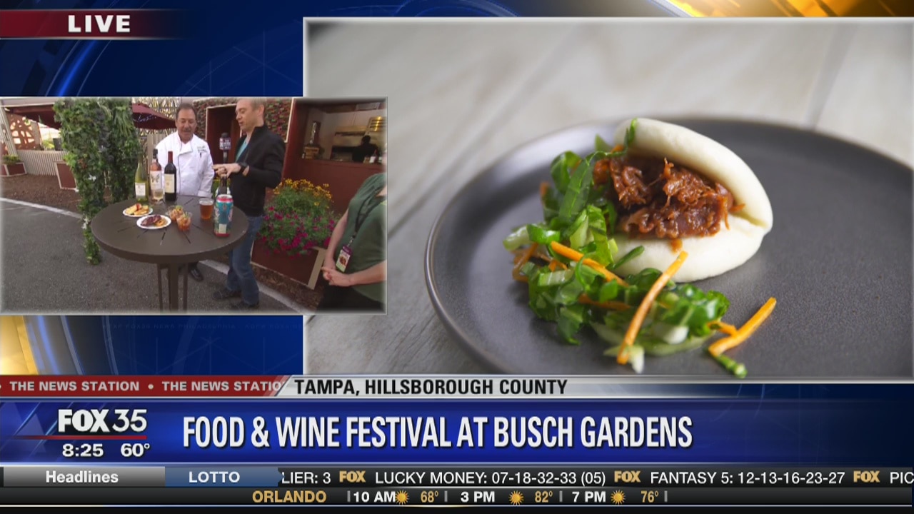 David Does It: Food & Wine Festival at Busch Gardens
