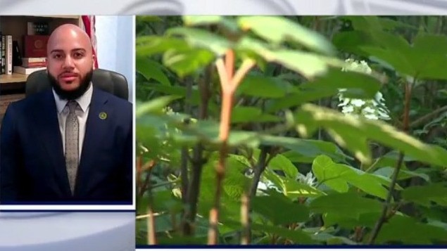 Understanding California's Green Amendment