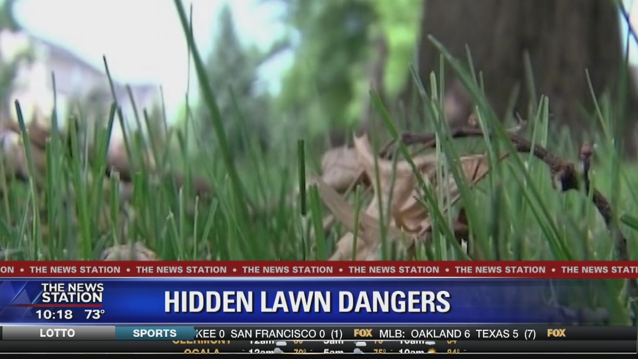 Treating your lawn during excessive rains